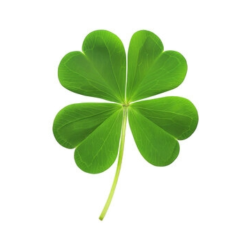 Carving Class: CLOVER